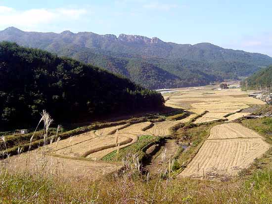 백아산 아랫마을 전남 화순군 북면 방리 양지마을이 오른쪽으로 조금 보입니다. 지금은 벌써 가을걷이가 끝난듯 합니다. 산정상에서 움푹 패인 곳 바로 위가 그 유명한 백아산 마당바위입니다. 